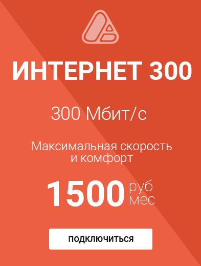 Интернет 300